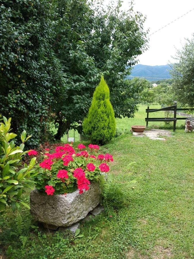 Casa Bartula Villa Bolzano Novarese Eksteriør bilde